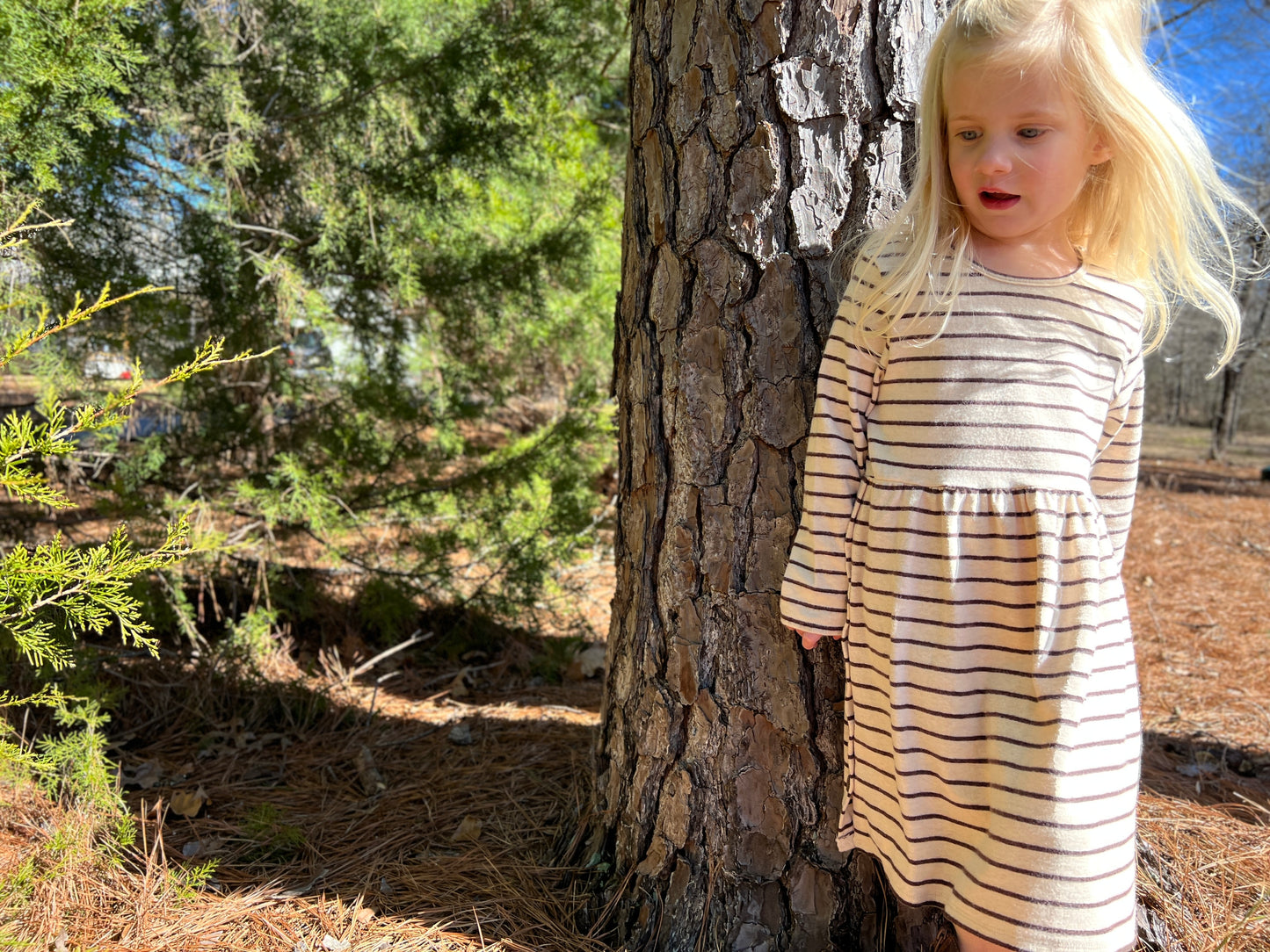 Madigan Dress in Cream/Charcoal Stripe