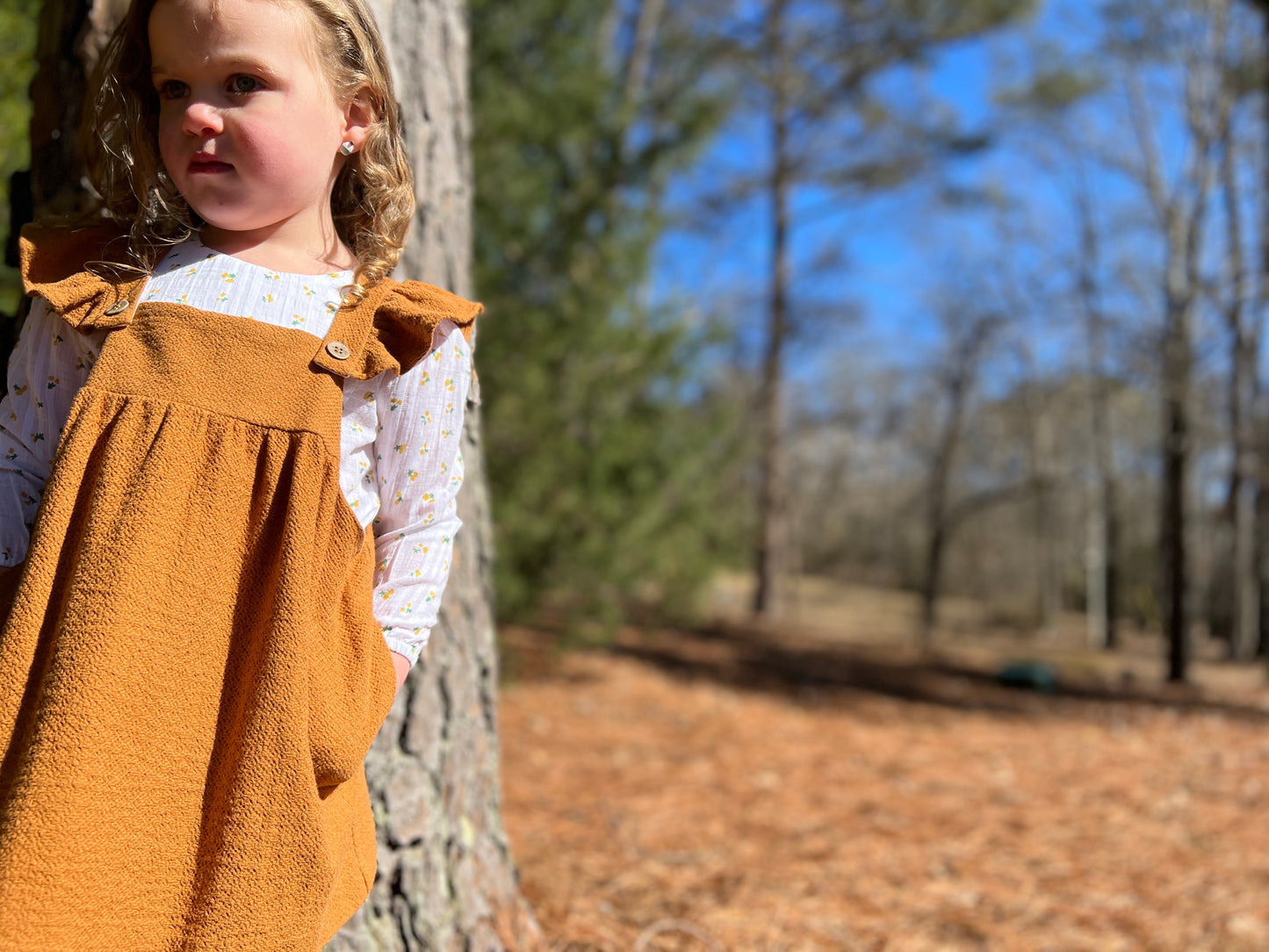 Opal Dress In Pumpkin